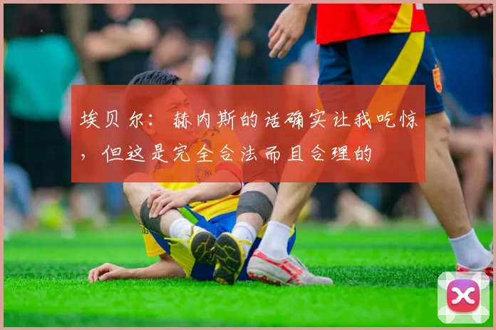 埃贝尔：赫内斯的话确实让我吃惊，但这是完全合法而且合理的
