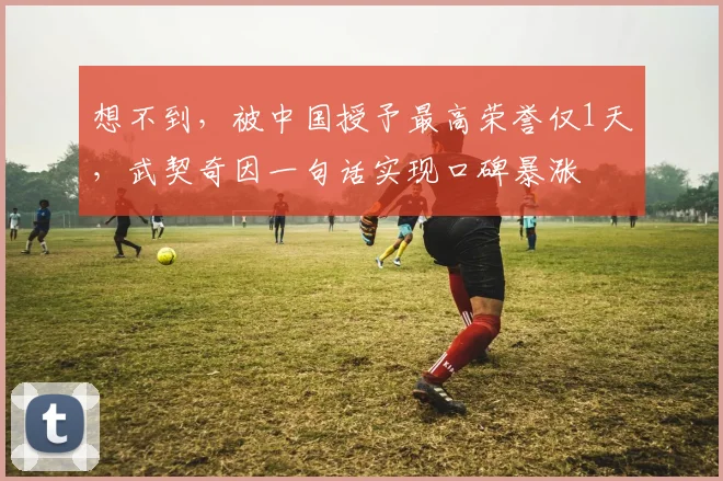 想不到，被中国授予最高荣誉仅1天，武契奇因一句话实现口碑暴涨