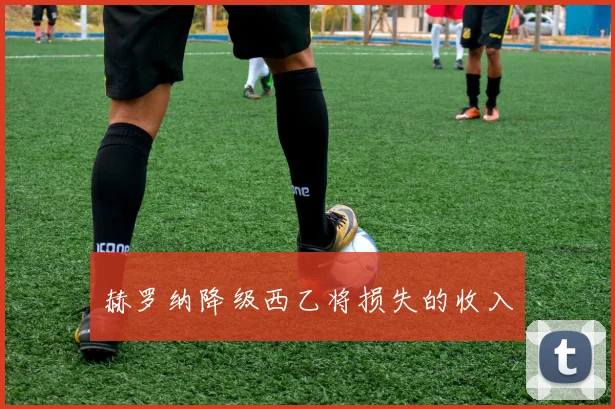 赫罗纳降级西乙将损失的收入