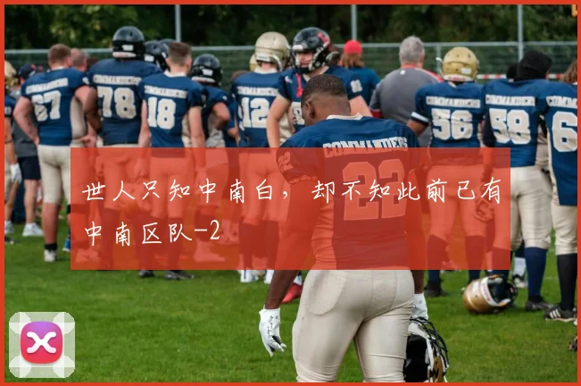 世人只知中南白，却不知此前已有中南区队