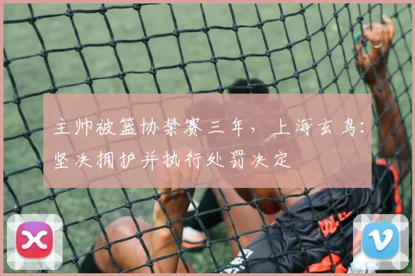主帅被篮协禁赛三年，上海玄鸟：坚决拥护并执行处罚决定