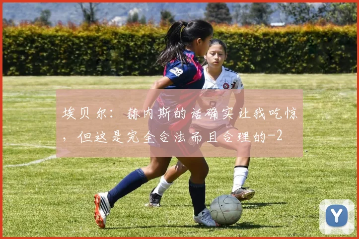 埃贝尔：赫内斯的话确实让我吃惊，但这是完全合法而且合理的