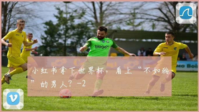 小红书拿下世界杯，看上“不如狗”的男人？